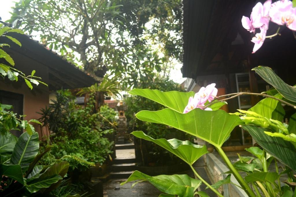 Manik House Hotel Ubud Exterior foto